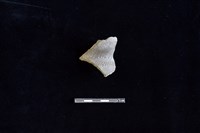 陶罐藏品圖，第1張